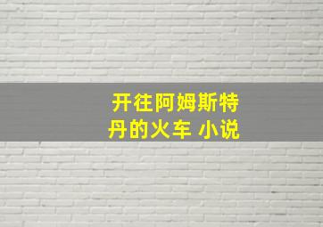 开往阿姆斯特丹的火车 小说